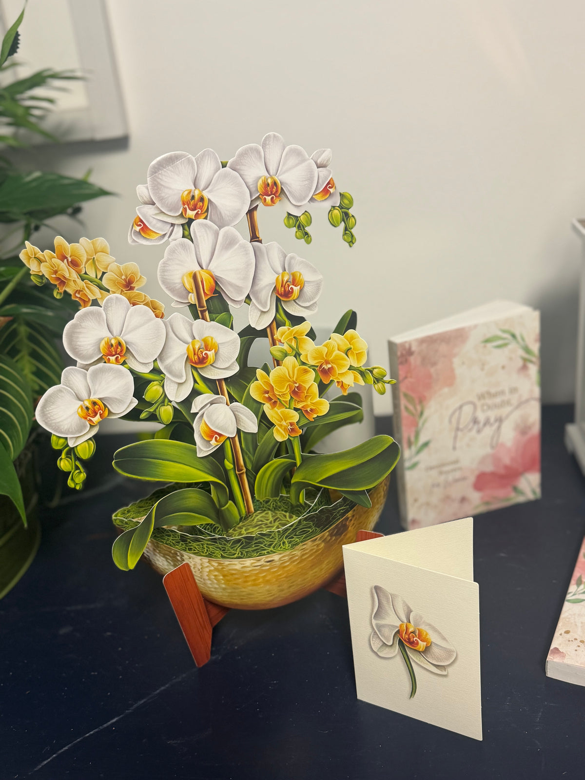 FreshCut Pop up Greeting cards
