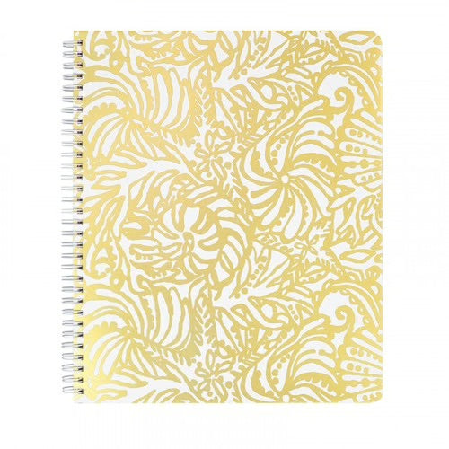 Lilly Pulitzer Collection ‘25