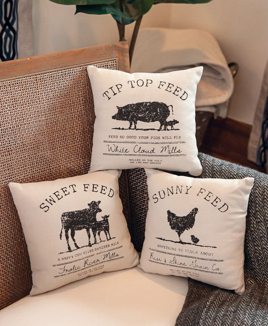 Farmhouse Mini Pillows